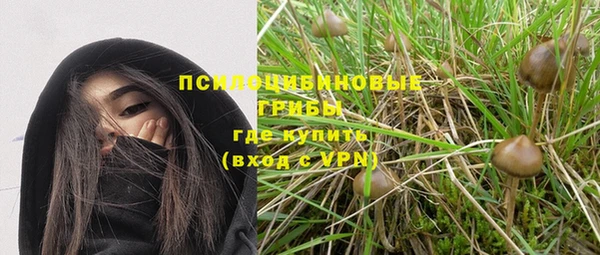 Альфа ПВП Балабаново